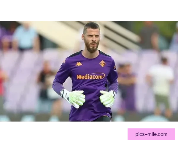 德赫亚连续扑出点球展现门神神勇守护球队胜利